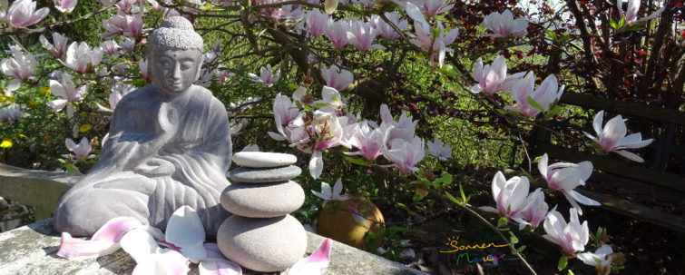 in Balance Buddha